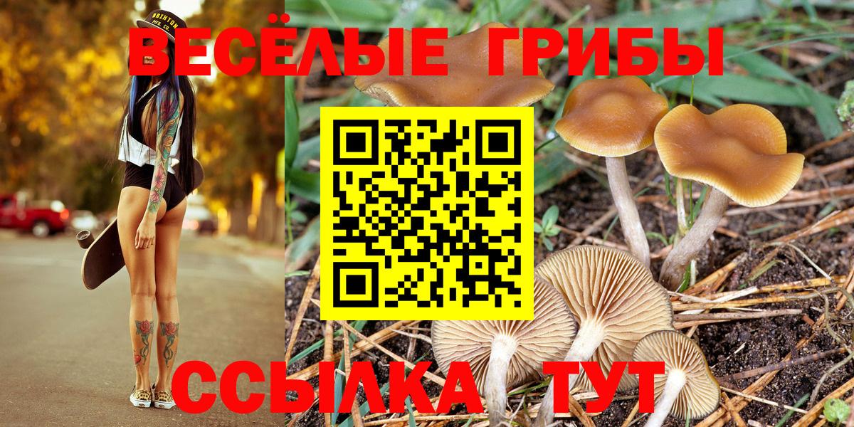 Галлюциногенные грибы GOLDEN TEACHER  Вход с VPN  Краснодар 